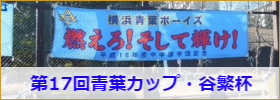 青葉カップ・谷繁杯