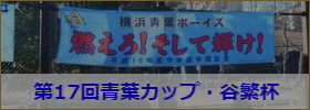 青葉カップ・谷繁杯